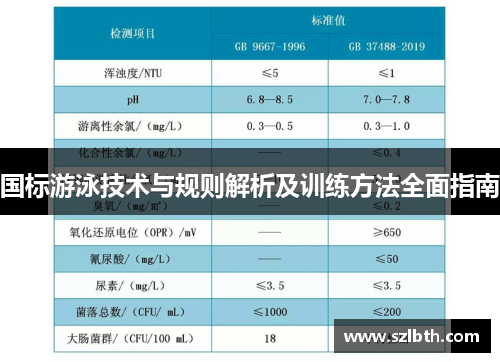 国标游泳技术与规则解析及训练方法全面指南